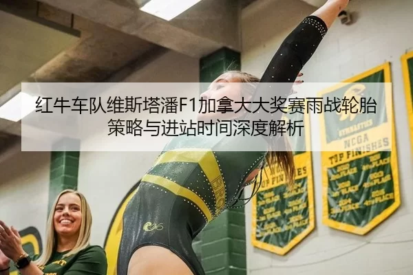 红牛车队维斯塔潘F1加拿大大奖赛雨战轮胎策略与进站时间深度解析