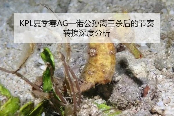 KPL夏季赛AG一诺公孙离三杀后的节奏转换深度分析