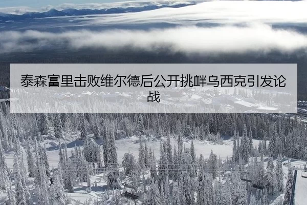 泰森富里击败维尔德后公开挑衅乌西克引发论战
